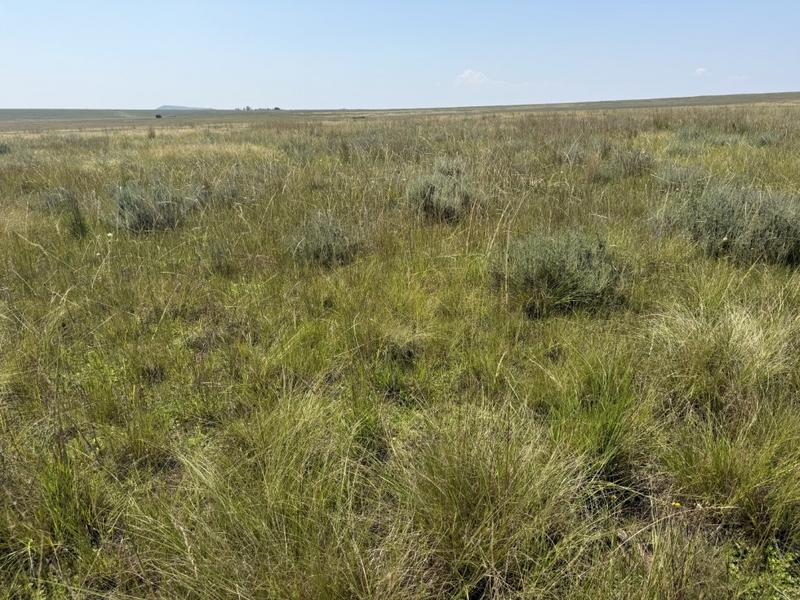 0 Bedroom Property for Sale in Bethlehem Rural Free State